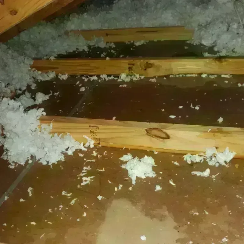 Attic Water Damage in East Palatka, FL